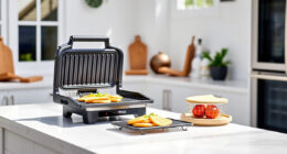 Summer Care Tips for Your Ninja Foodi Pro 5-in-1 Indoor Grill