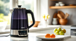 Summer Sips: Must-Have Accessories for Your Ninja KT200BL Kettle